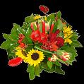 fleurs et nature (136)